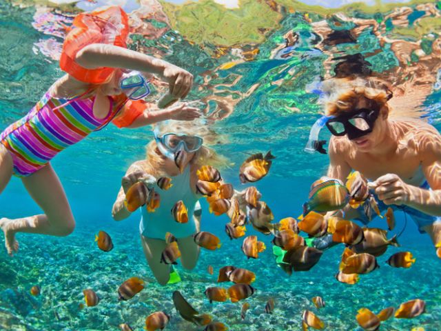 Vizesiz Maldivler & Singapur & Phuket Turu Türk Hava Yolları İle 8 Gece (MLE - HKT)