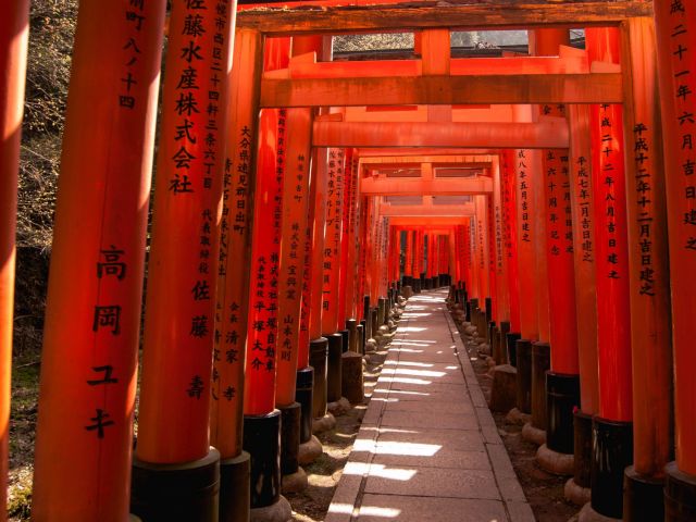 Elegant Japonya Turu Türk Hava Yolları İle 7 Gece (Ekstra Turlar Dahil) (KIX-NRT)