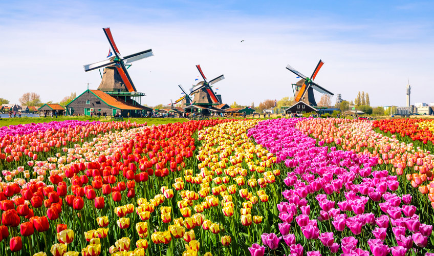 Görkemli Dörtlü Benelüx & İsviçre & Fransa & Almanya Turu Türk Hava Yolları ile 7 Gece (Yaz Dönemi) (BSL - DUS)