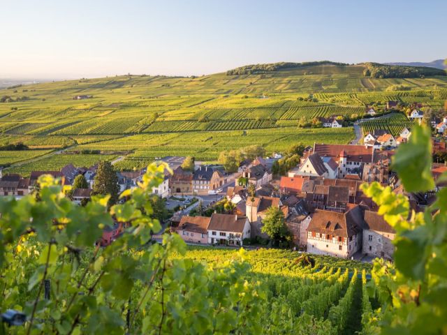 Maxi Benelüx & Paris & Alsace Turu Ajet Hava Yolları İle 7 Gece (CGN-BSL)