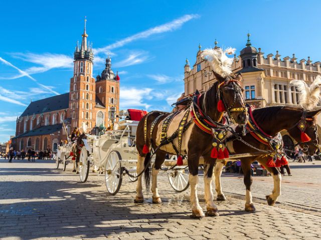 Polonya & Almanya Turu Türk Hava Yolları İle 7 Gece (BER-BER)