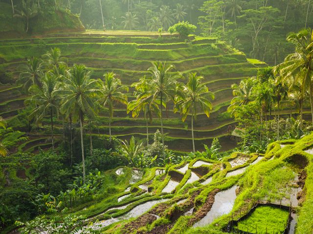 Elegant Ubud & Bali & Kuala Lumpur Turu Air Asia Hava Yolları İle 6 Gece (Ekstra Turlar Dahil) (DPS-KUL)
