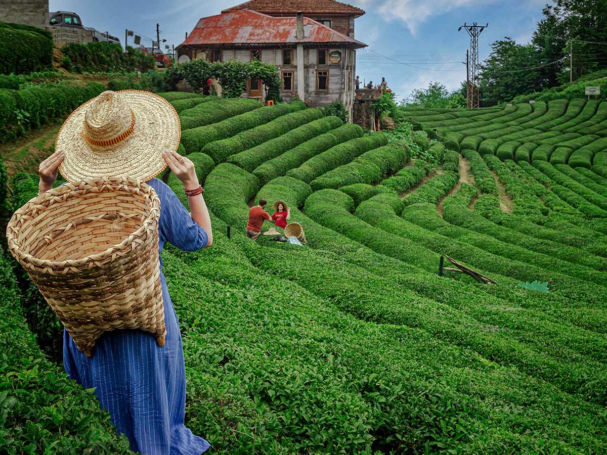 İzmir Çıkışlı Uçaklı Batum ve Ayder Turu 2 Gece (Batum Konaklamalı)